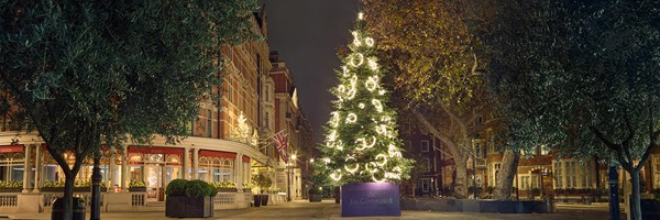 Christmas tree at The Connaught 2023 by Dame Rachel Whiteread - 31 feet tall featuring 102 circular neon white loops