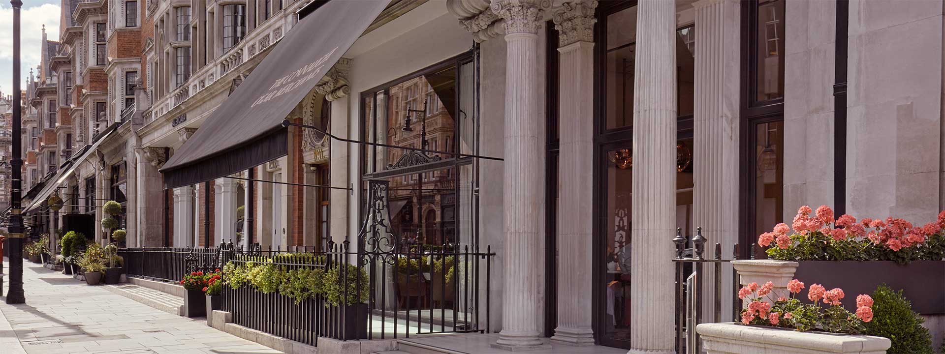 The Connaught Cigar Merchants view from street on the blind windows, pots and plants.